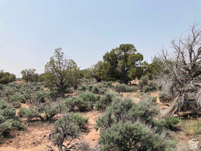 Land, Duchesne, Utah image 9