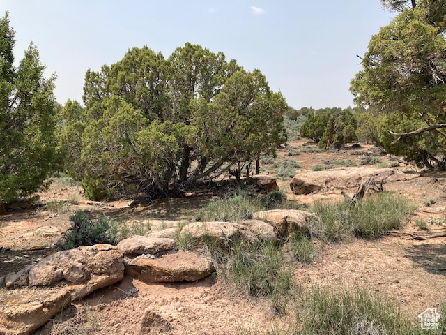 Land, Duchesne, Utah image 5