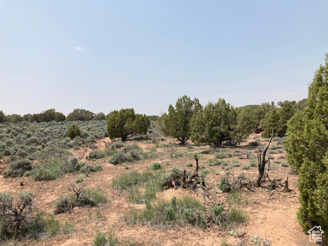 Land, Duchesne, Utah image 8