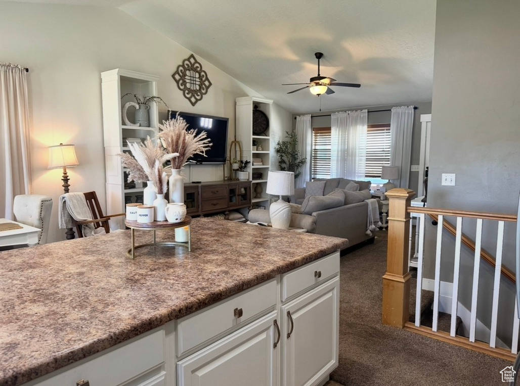 SOUTH BALLARD SUBDIVISION - Residential