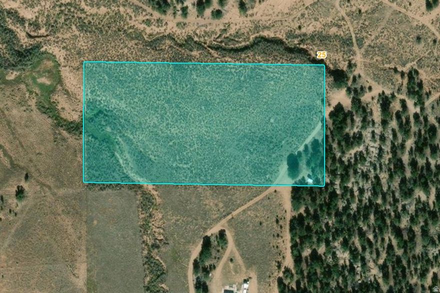 * Beautiful 5 Acre Lot in Fruitland! * Great location & access just 5 mins off Hwy 40 * Get out of the city and breath fresh air, enjoy nice quiet peaceful nights with starry skies! * Property has some large trees and pasture with nice grassy flat areas * Perfect for camping or living year-round! * Located within only minutes to Starvation, Strawberry Reservoir or Current Creek! * Miles & miles of dirt roads to ride and have fun! * Power is available nearby, septic systems and water wells are common for the area * Outdoorsman & fisherman's dream!!