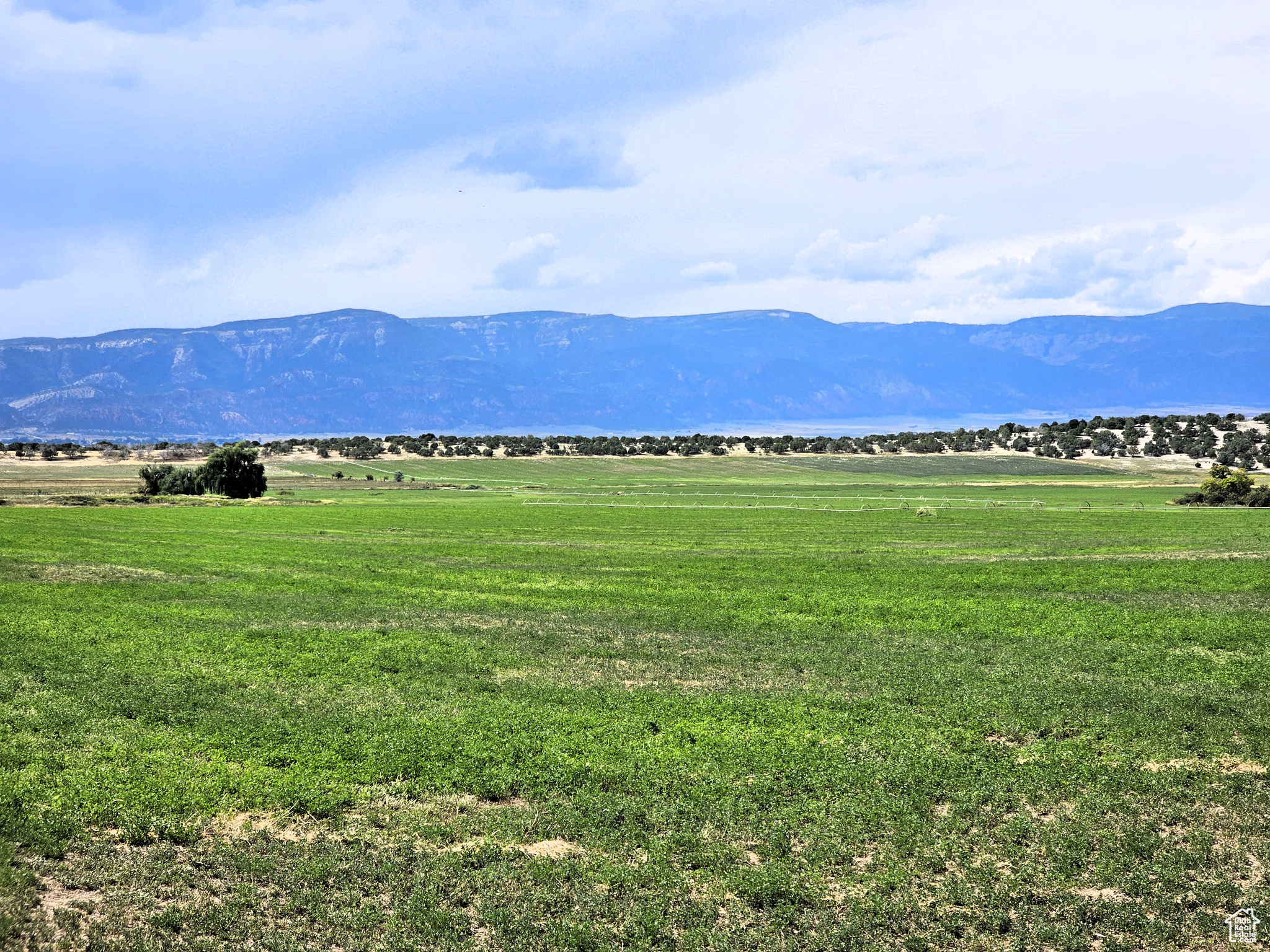 300 W 1100, Spring City, Utah image 15
