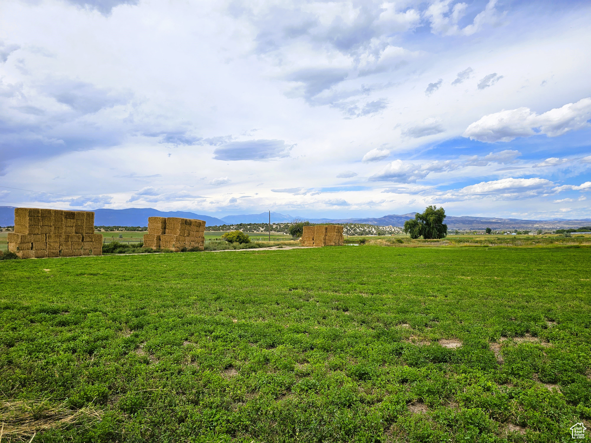 300 W 1100, Spring City, Utah image 4