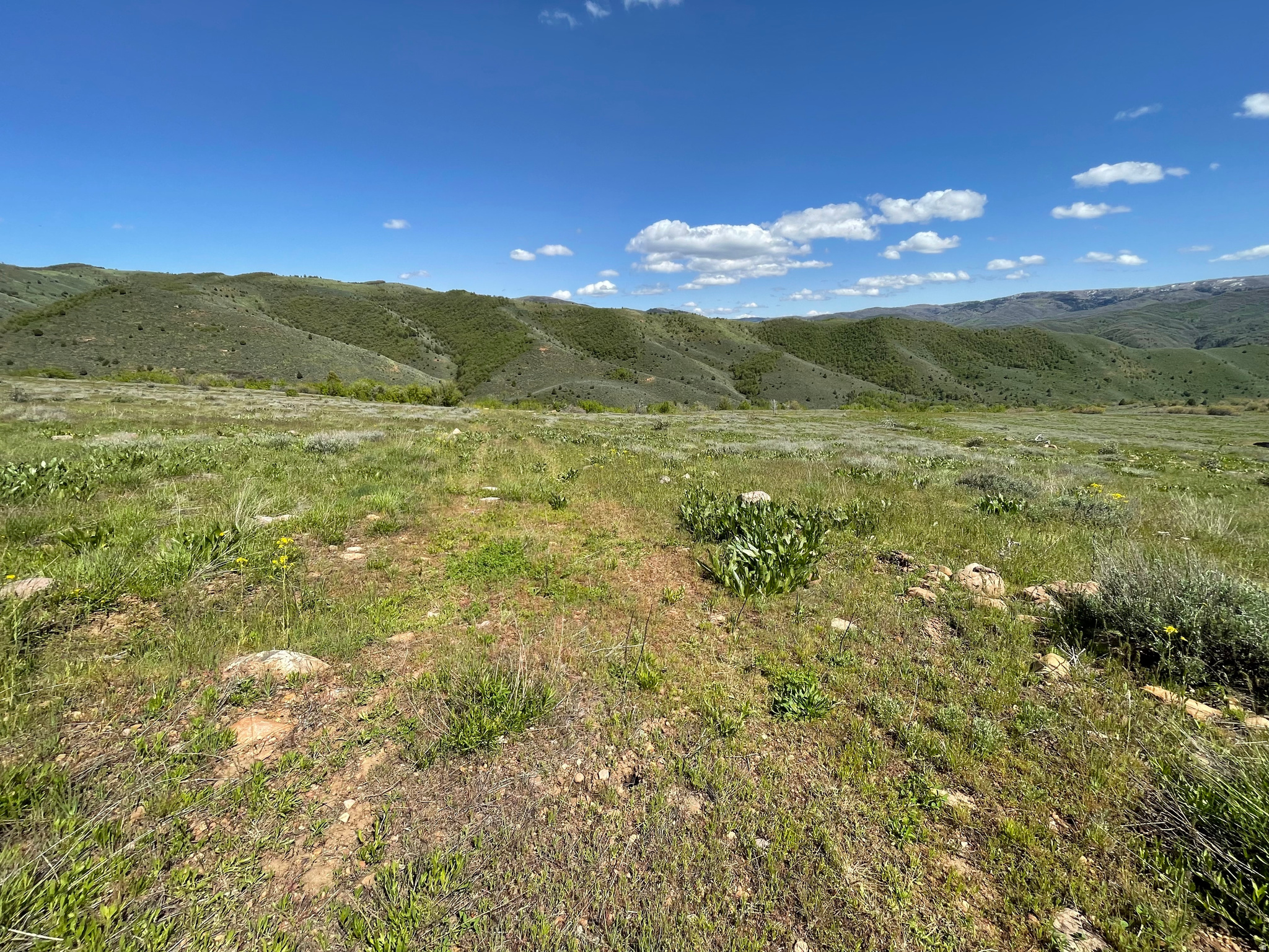 EVERGREEN PARK SUBDI - Land