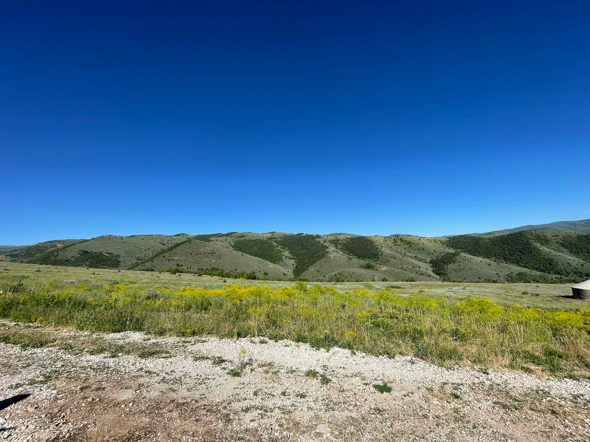 EVERGREEN PARK SUBDI - Land