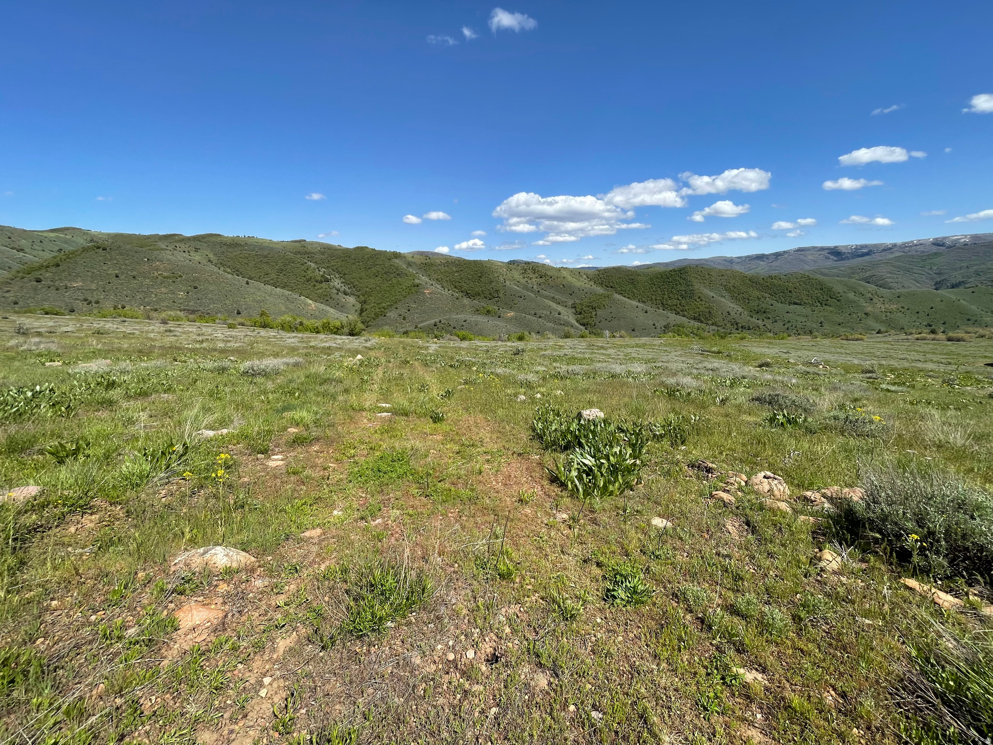 EVERGREEN PARK SUBDI - Land