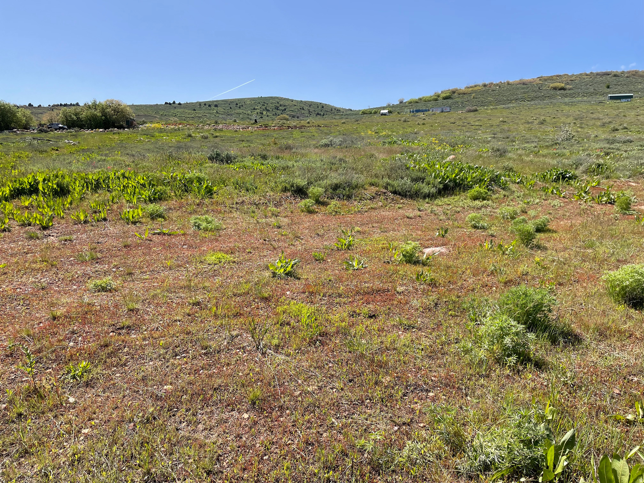 EVERGREEN PARK SUBDI - Land