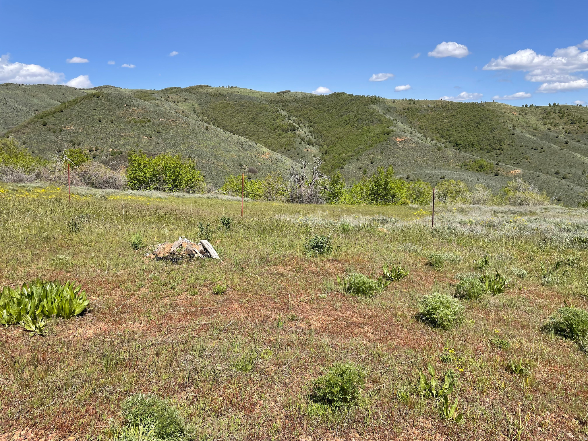 EVERGREEN PARK SUBDI - Land