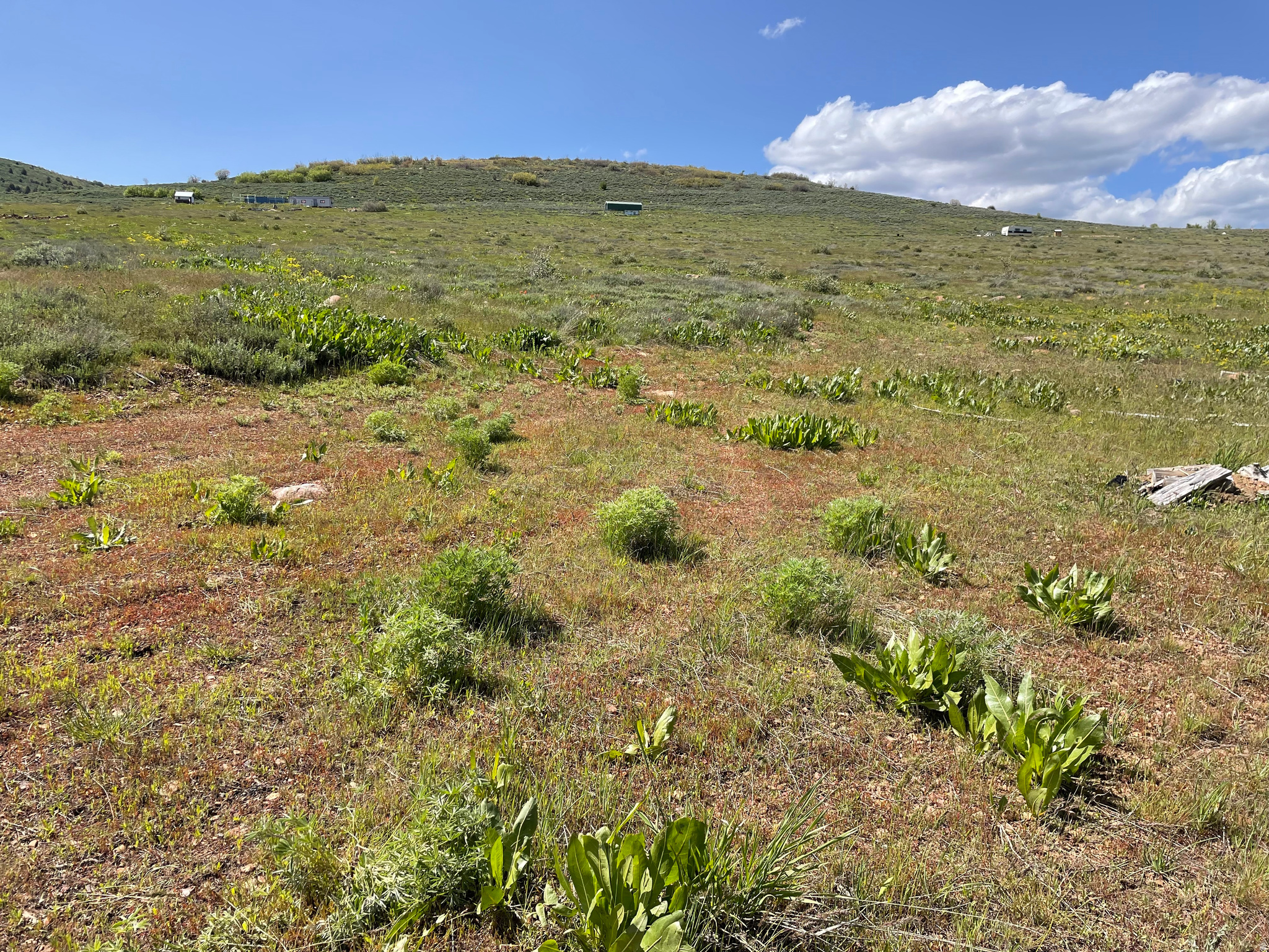 EVERGREEN PARK SUBDI - Land
