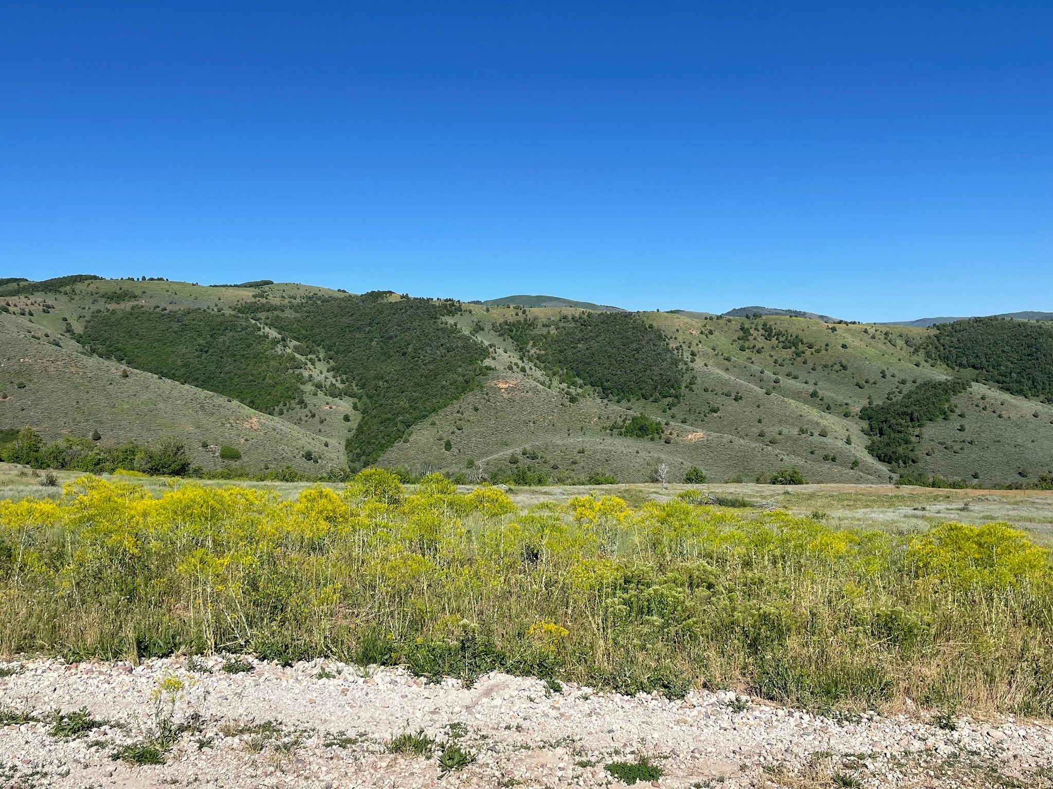 EVERGREEN PARK SUBDI - Land