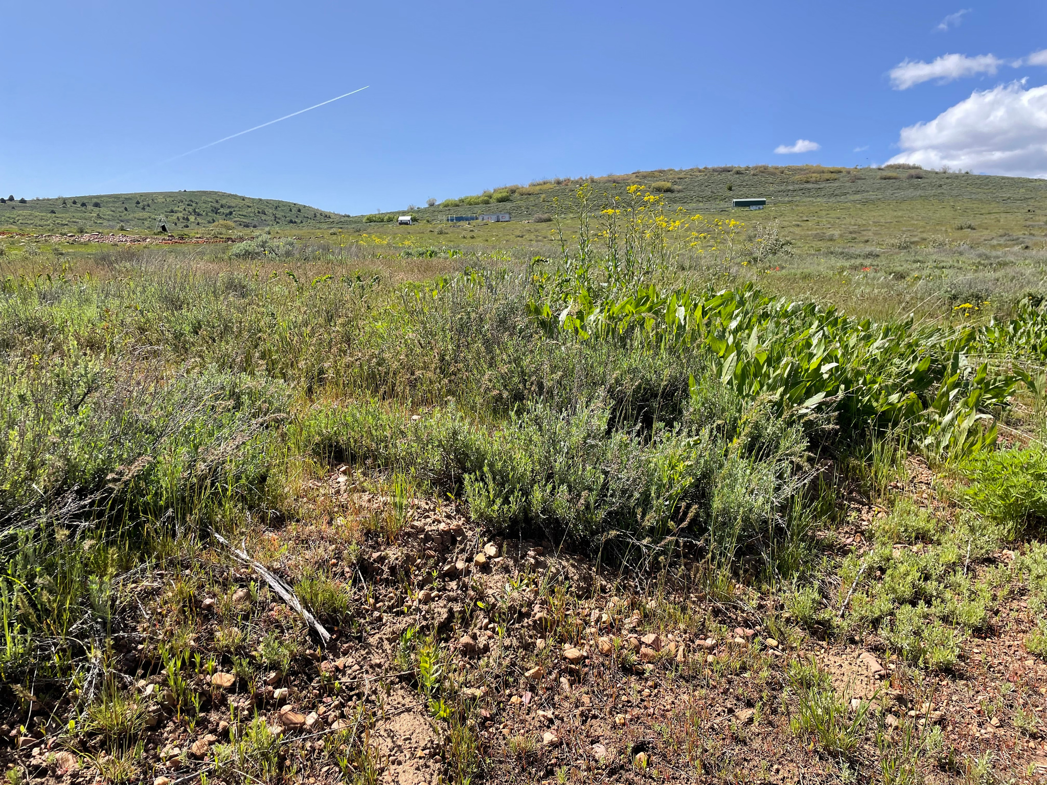 EVERGREEN PARK SUBDI - Land