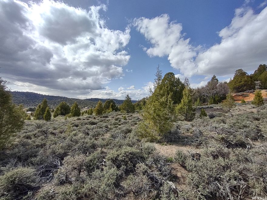 Great cabin property or rental property in the popular Long Valley Estates subdivision with water meter at the lot, and electricity at road. Three miles North of Todd's Junction on Hwy 89. Centrally located between Zions National Park, Bryce Canyon National Park, Coral Sand Dunes and Lake Powell. Enjoy the peace and quiet of nature, while still having access to the nearby highway and convenience store.  Buyer responsible to verify property boundaries. Square footage figures are provided as a courtesy estimate only and were obtained from tax documents. Buyer is advised to obtain an independent measurement.