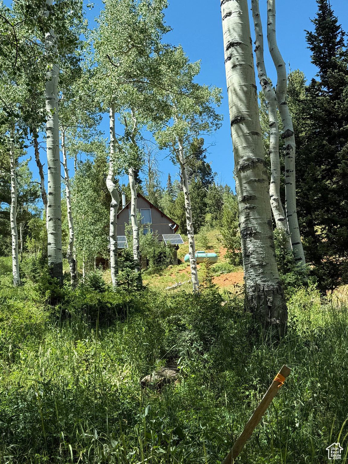 SKI VIEW ESTATES - Residential