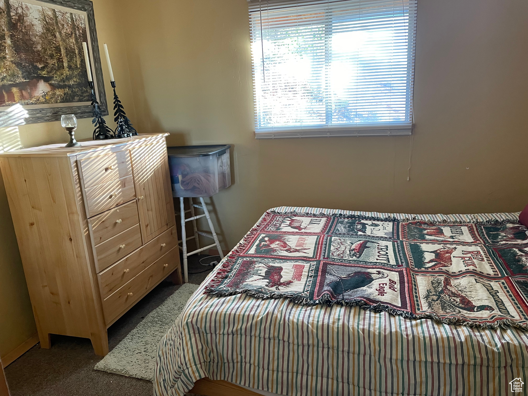 SKI VIEW ESTATES - Residential