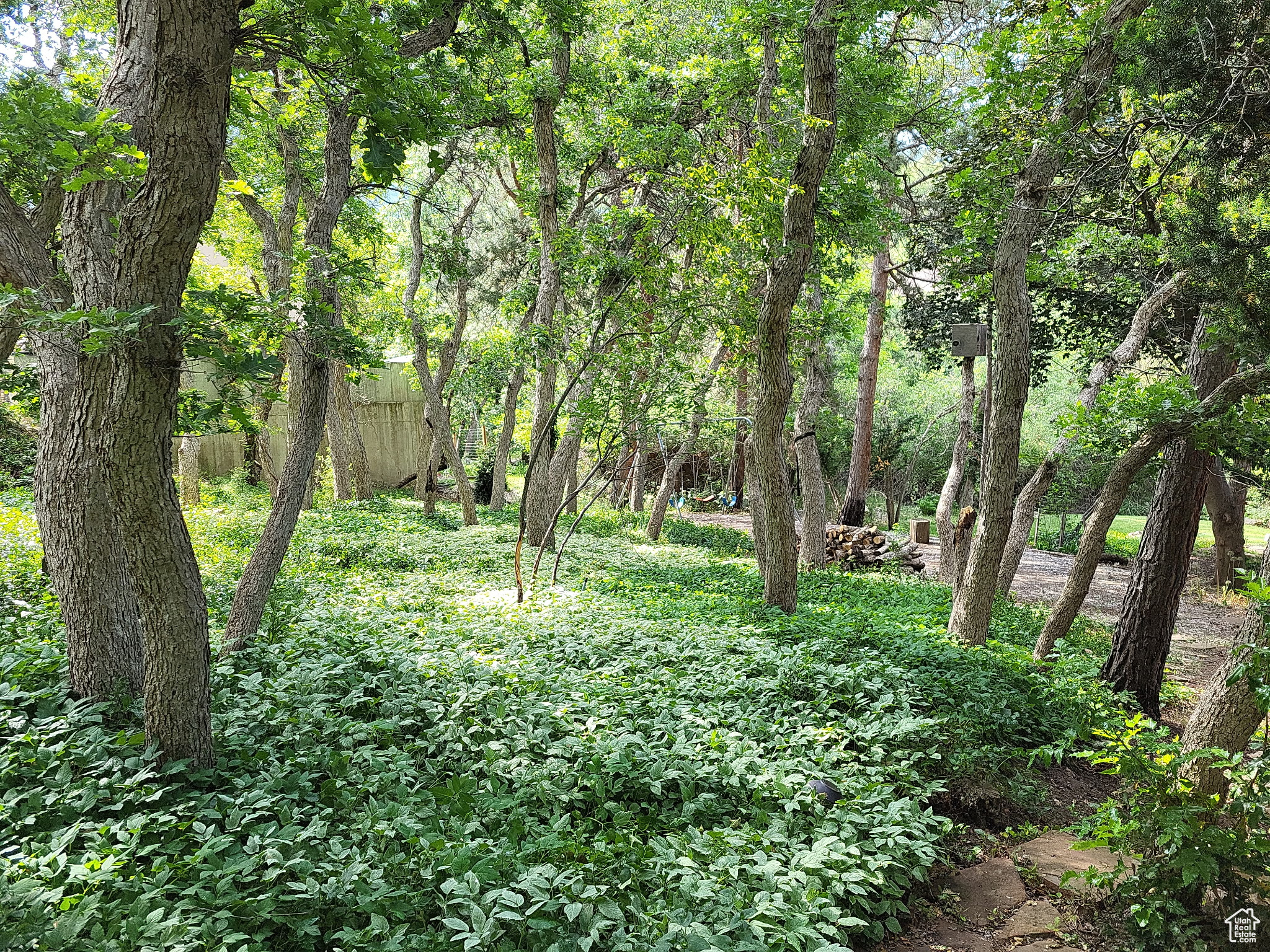 PEPPERWOOD - Residential