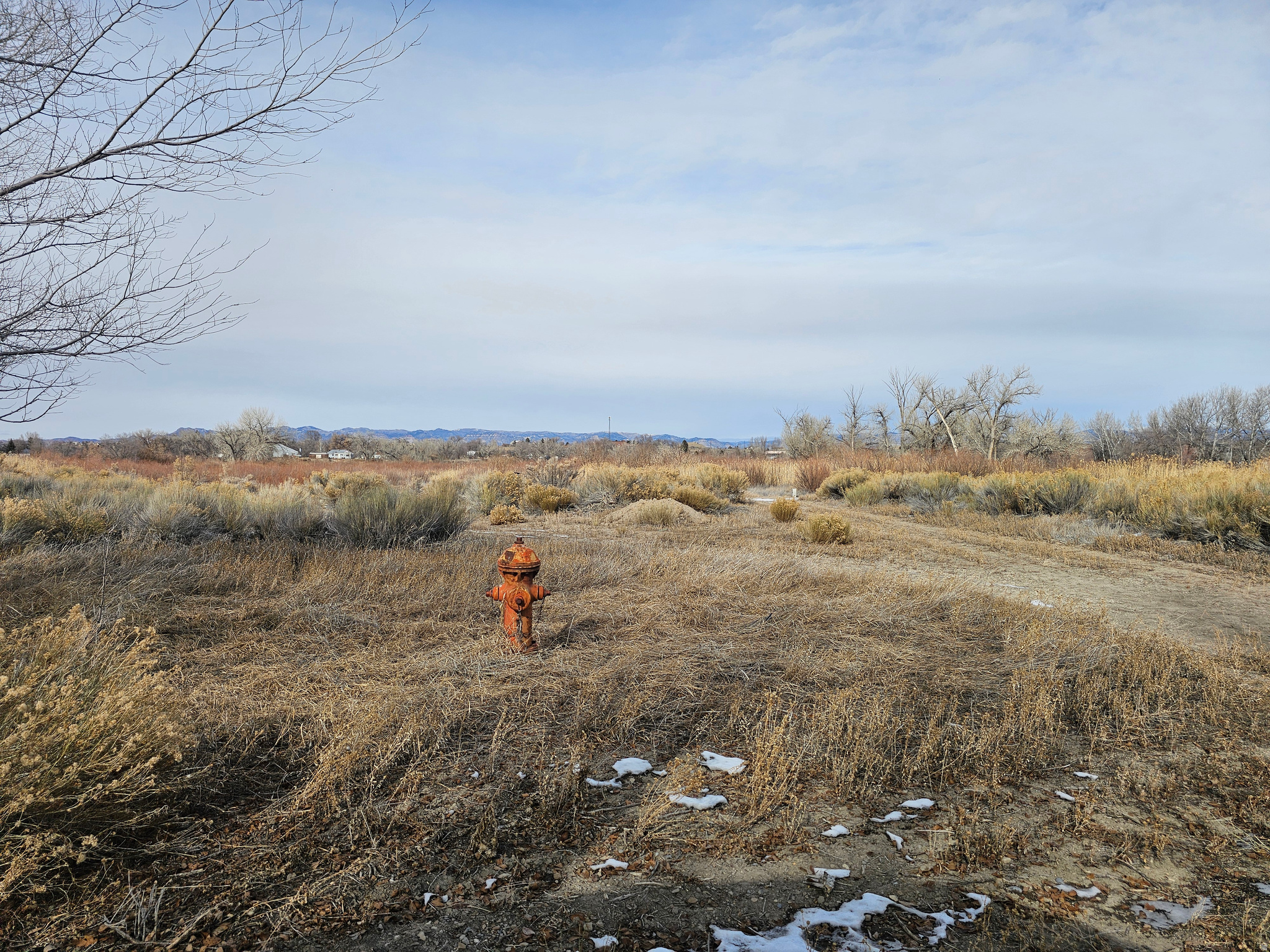 RIVERSIDE HOMES SUB - Land