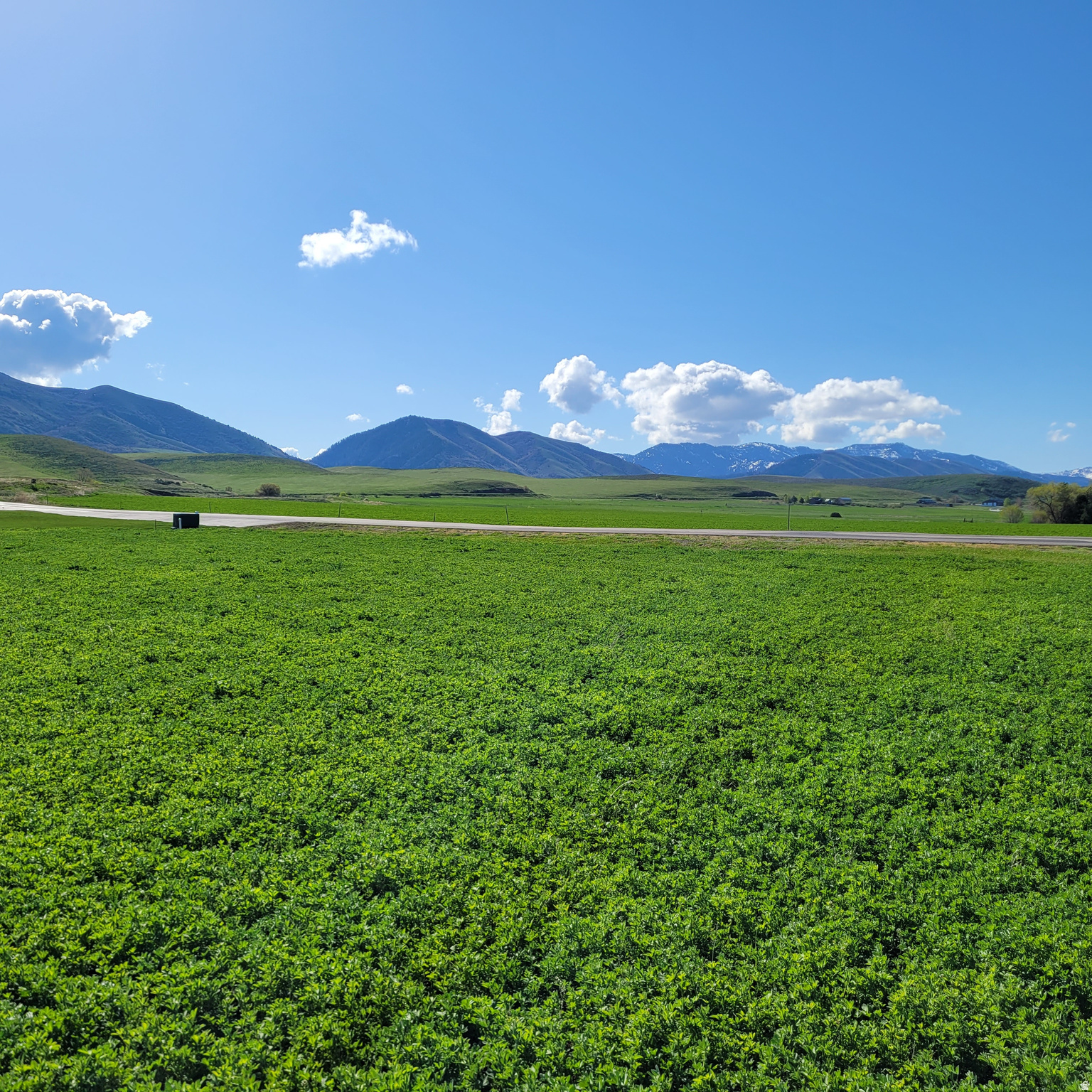 PARADISE ESTATES SMA - Land