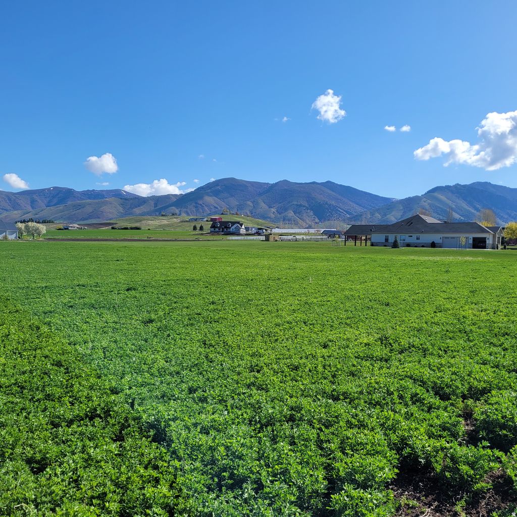 Photo of 377 E 8900 S, Paradise, UT 84328 (MLS # 2139355)