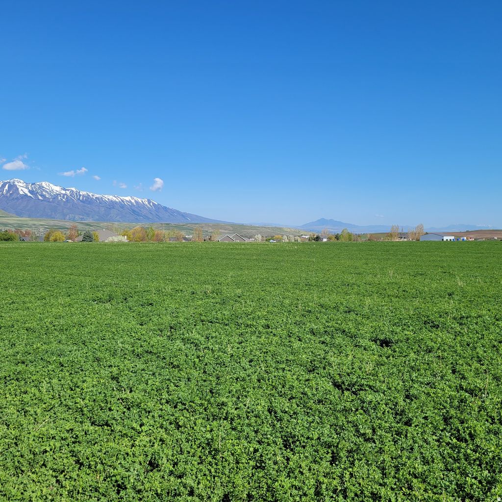 Photo of 377 E 8900 S, Paradise, UT 84328 (MLS # 2139355)