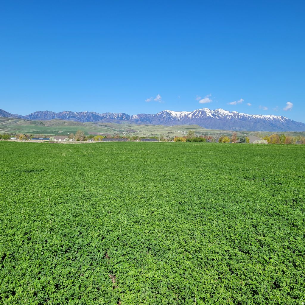 Photo of 377 E 8900 S, Paradise, UT 84328 (MLS # 2139355)