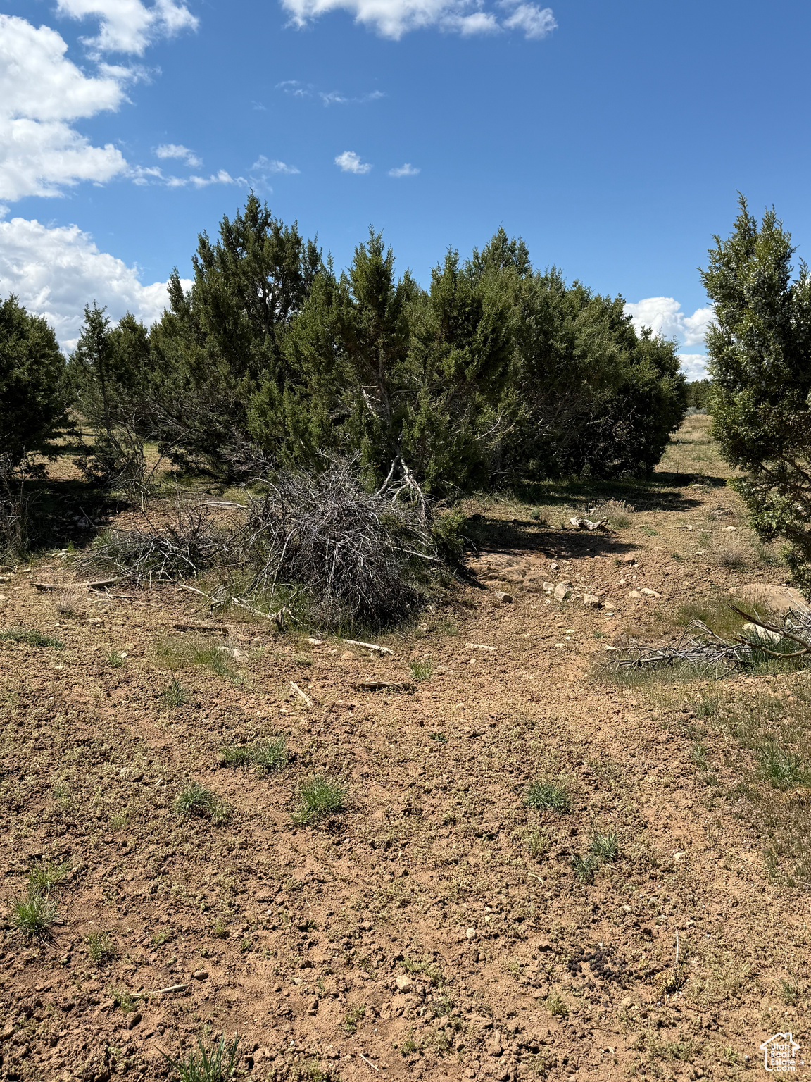 SPRING CITY RANCHES - Land