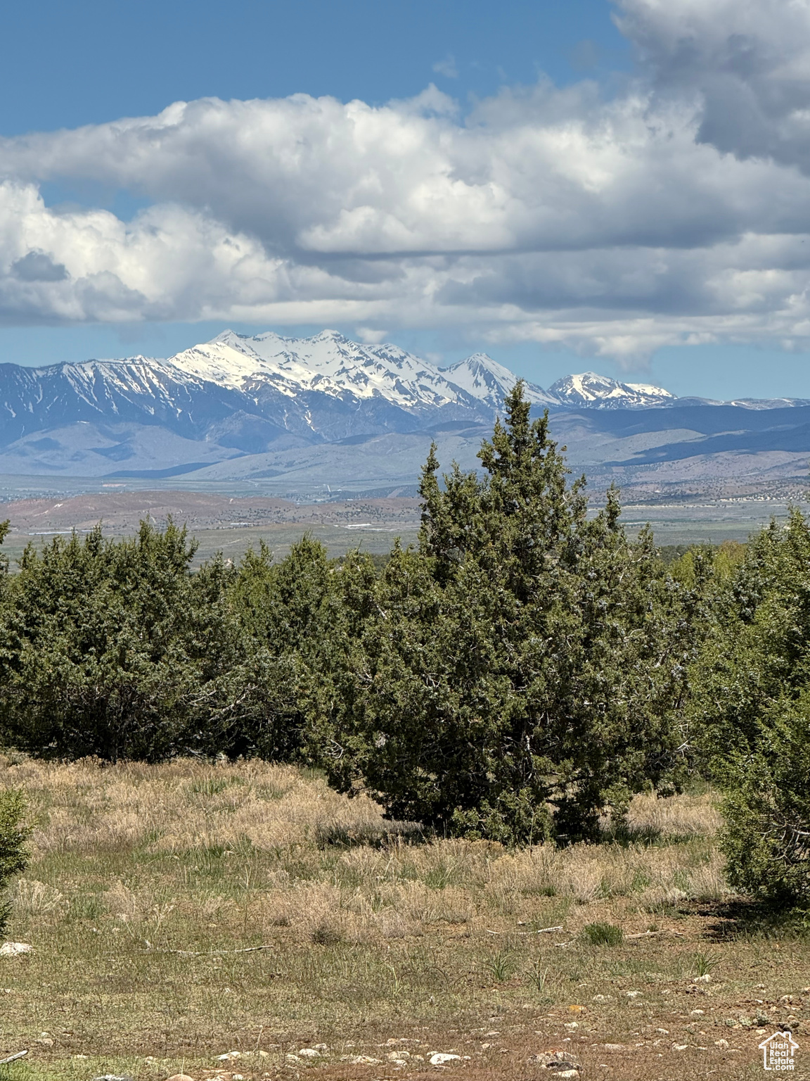 SPRING CITY RANCHES - Land