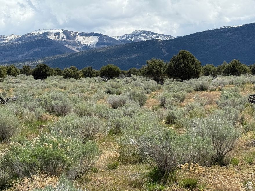 Lot 20, nestled just outside of coveted Spring City Utah, Spring City Ranches LLC  offers a peaceful escape surrounded by nature in the heart of Sanpete County. The expansive parcel features beautiful views of the majestic horseshoe and surrounding mountains creating a perfect backdrop for your dream home or a peaceful retreat. Conveniently located Just minutes from Spring City, a charming historic town with art galleries and pioneer era architecture.  Walmart, Snow College, and a variety of shopping and dining options are only a short drive away in nearby Ephraim, Mt. Pleasant and Manti. One share of water included. Ideal for livestock , gardening, or future development. Great for homesteading, recreation, or a weekend getaway. Located in a quiet rural area with easy access via well-maintained roads.  Seller Financing Options Available. Start with just 20% down, flexible terms make this and affordable investment in your future.  Own land in one of Utah's most desirable rural areas. Perfect for now or later, this property gives you space, privacy, and real value.