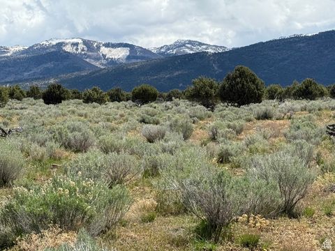 Vacant Land For Sale - #20<br/> Sanpete County, Spring City, UT 84662