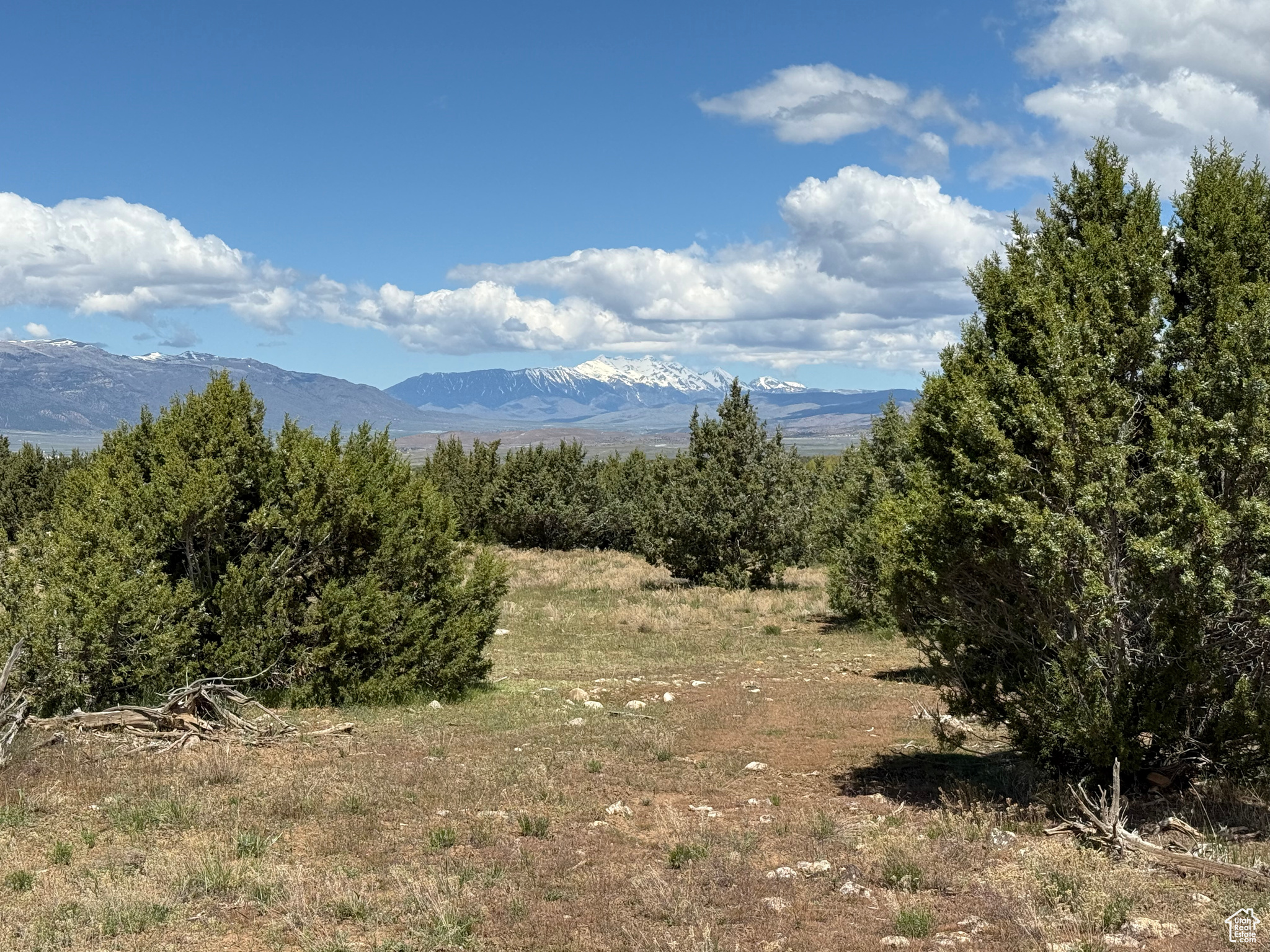 SPRING CITY RANCHES - Land