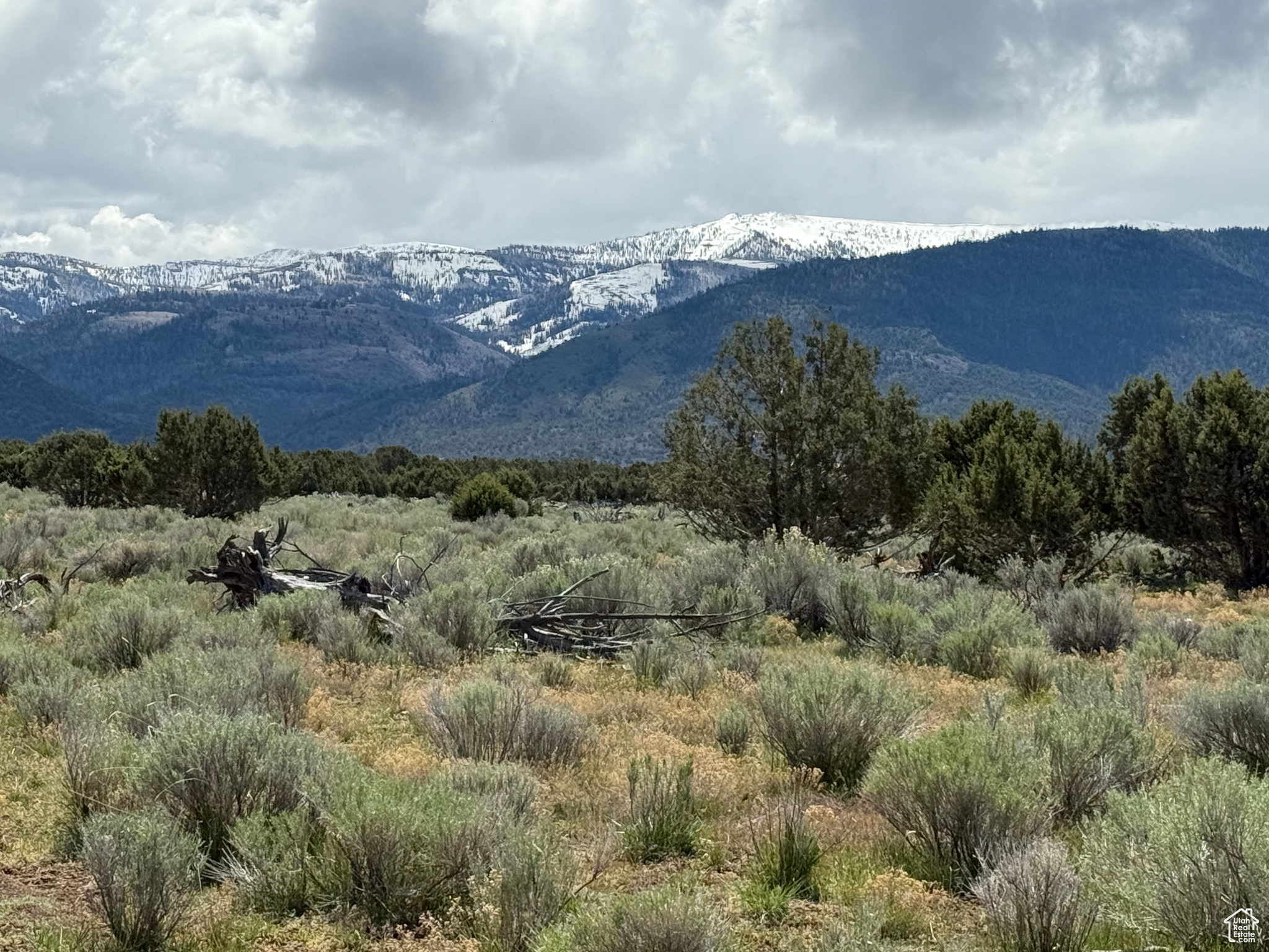 SPRING CITY RANCHES - Land