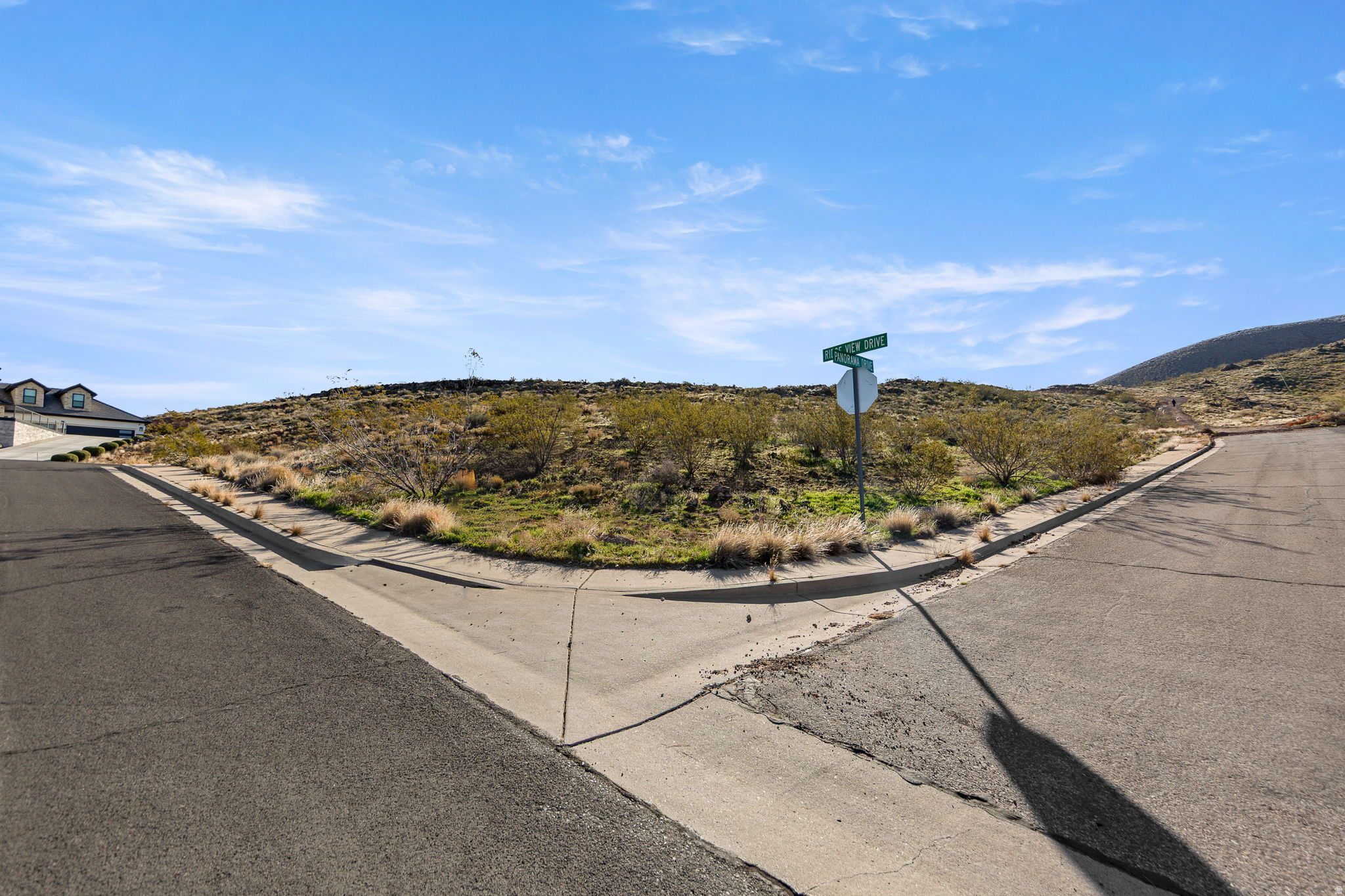PAINTED HILLS RLINGTON HEIGHTS - Land