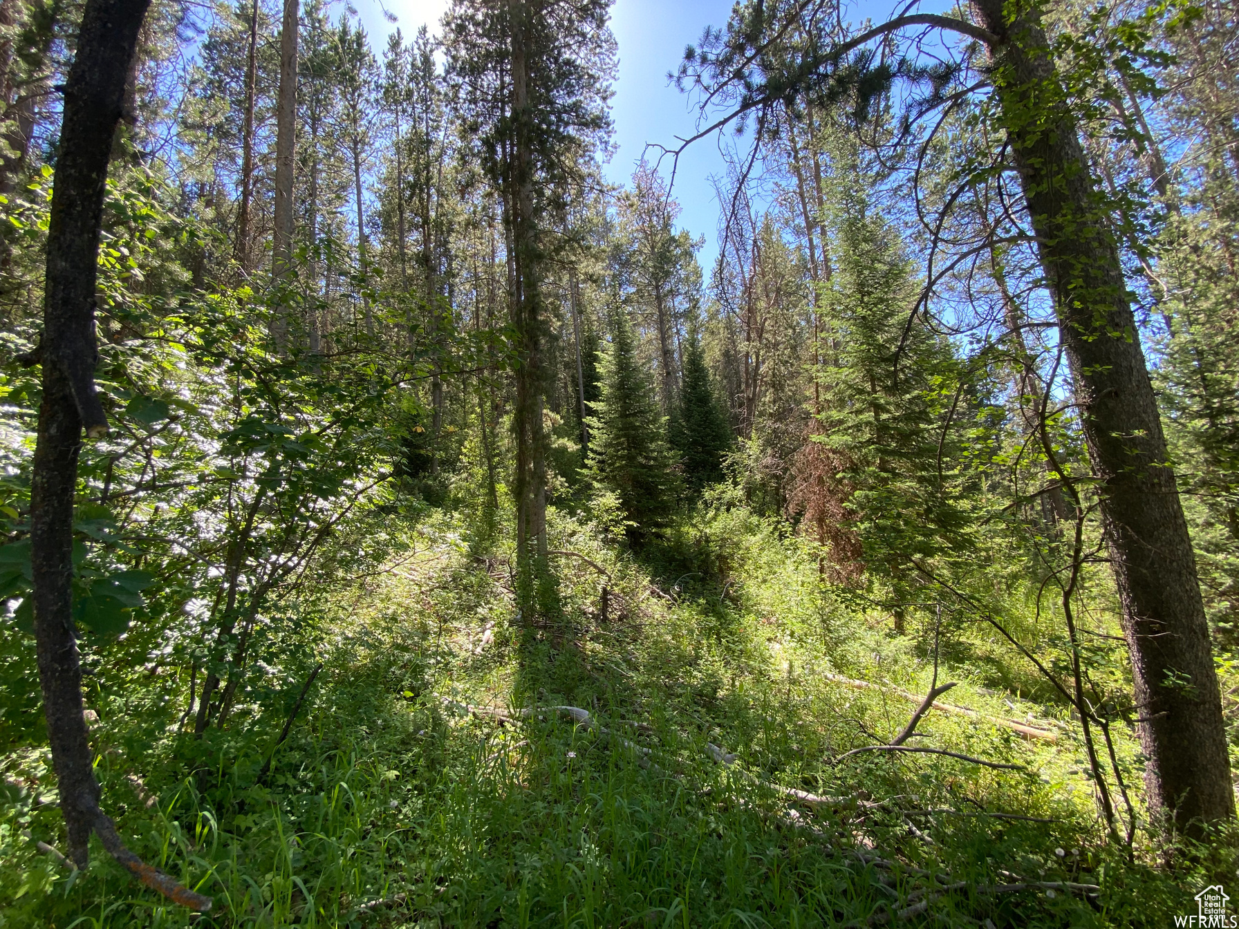 GROUSE CREEK RANCH - Land