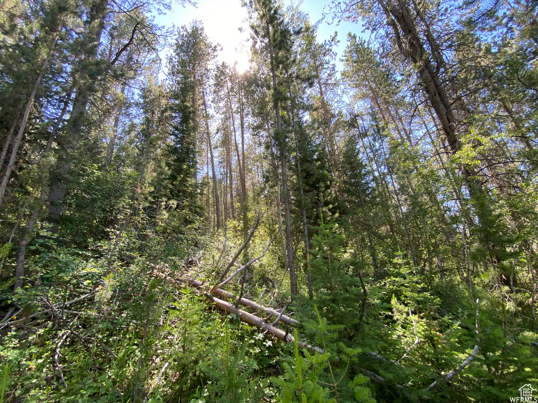 GROUSE CREEK RANCH - Land