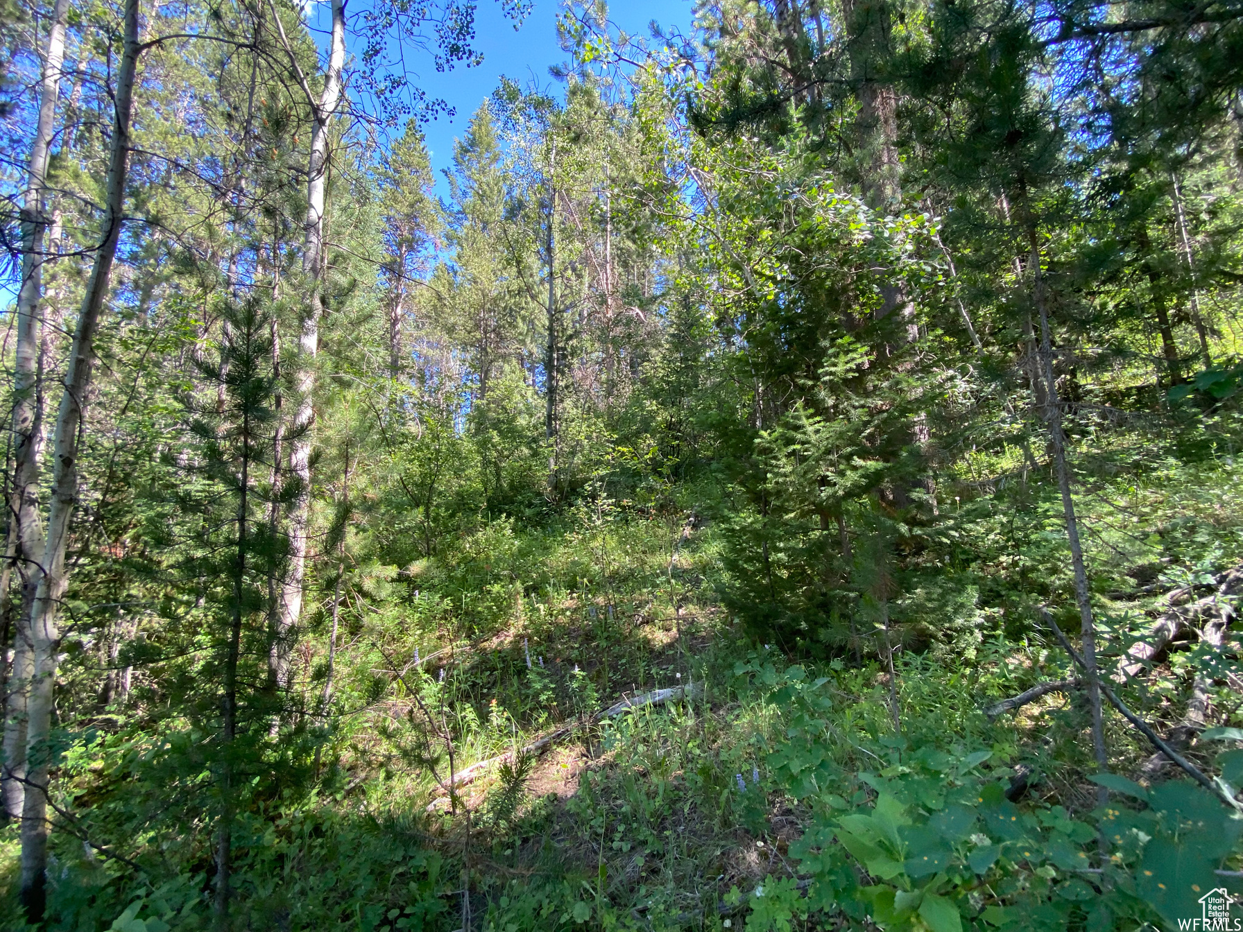 GROUSE CREEK RANCH - Land