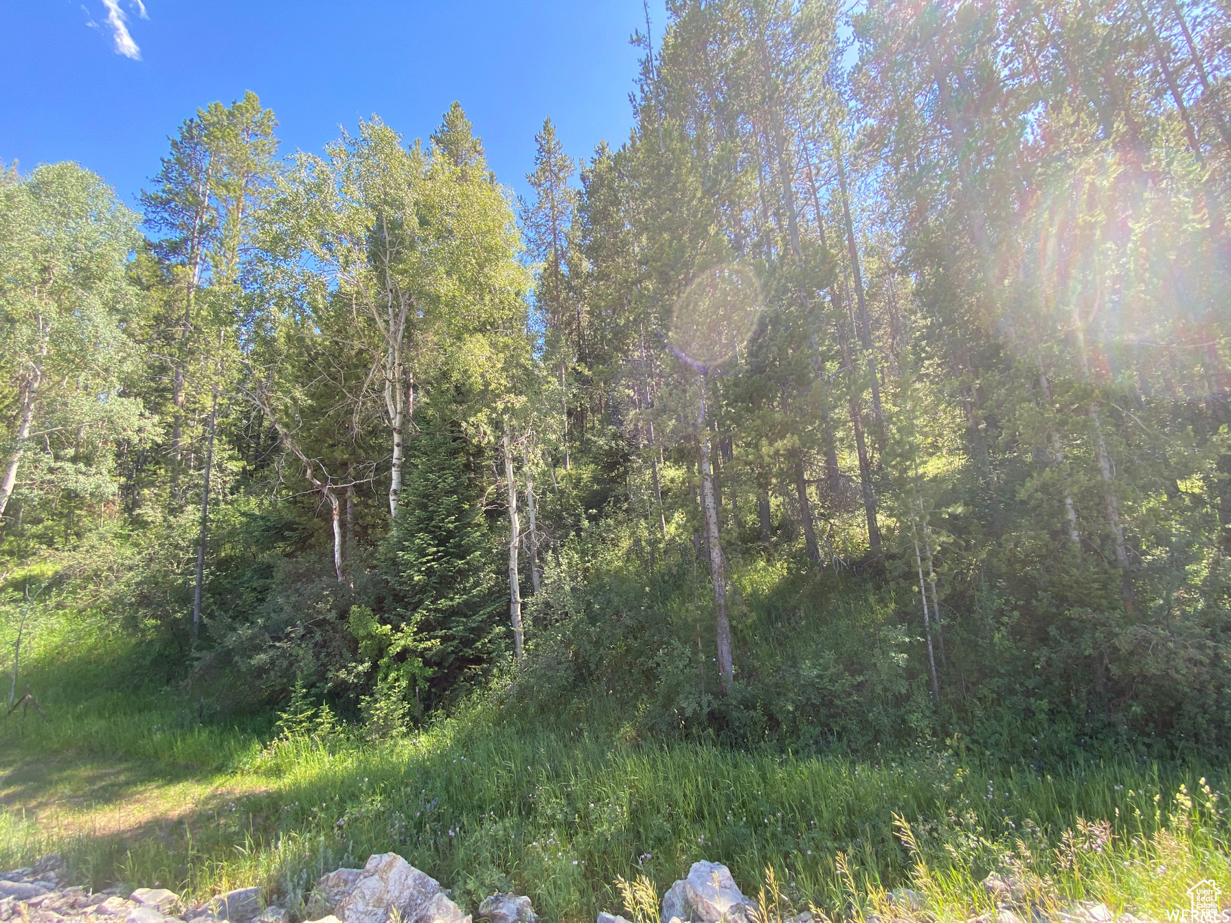 GROUSE CREEK RANCH - Land