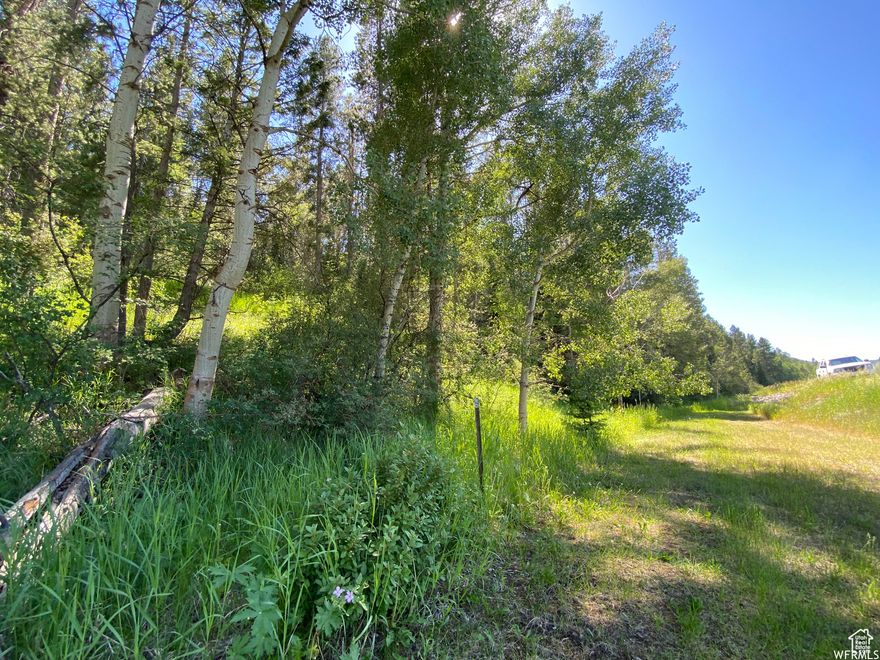 Beautiful wooded lot in Freedom Idaho. Grouse Creek Ranch is an exclusive community offer incredible forest access, fishing, and the western lifestyle you are been seeking. Adjoining property is available.