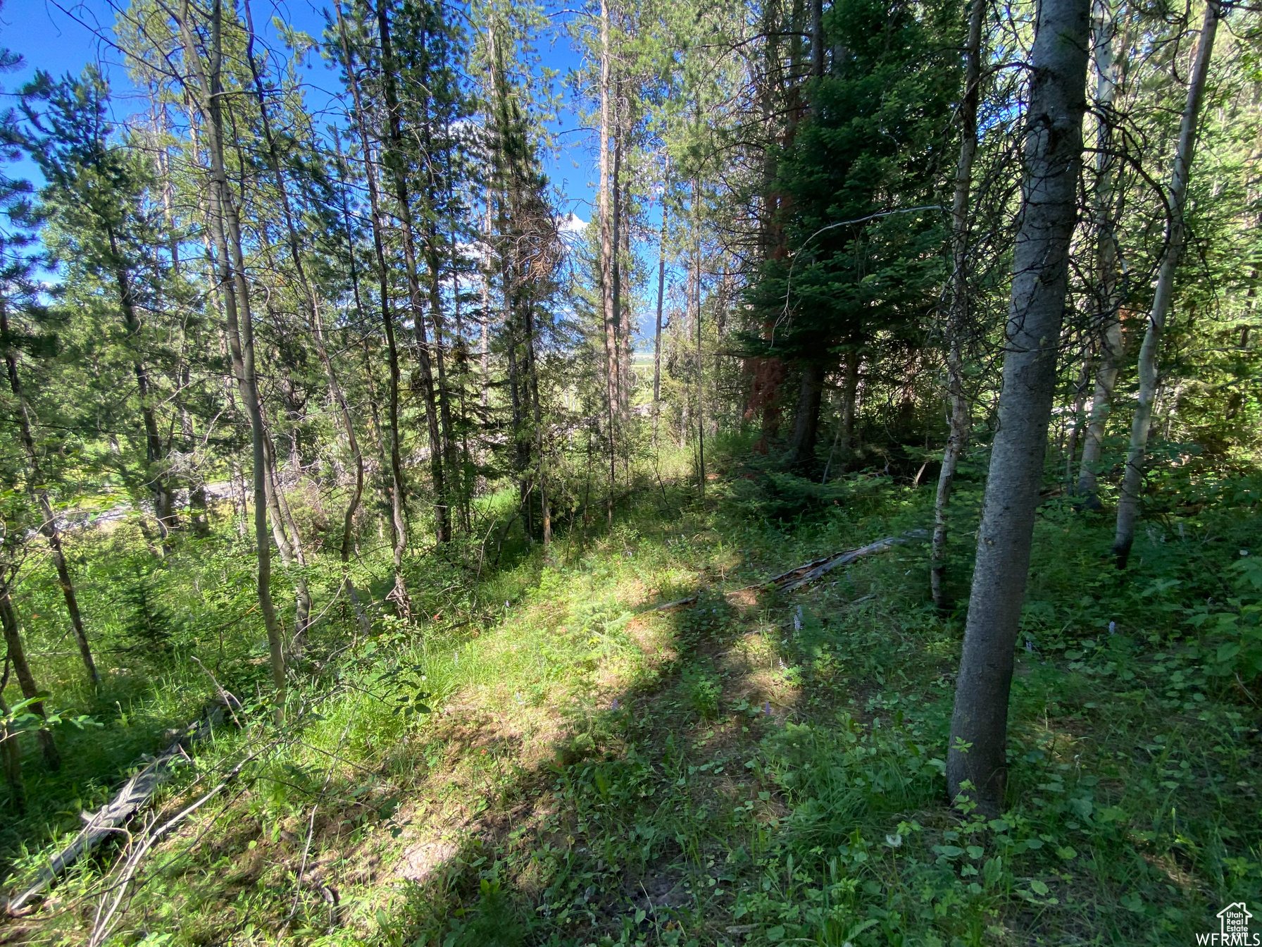 GROUSE CREEK RANCH - Land