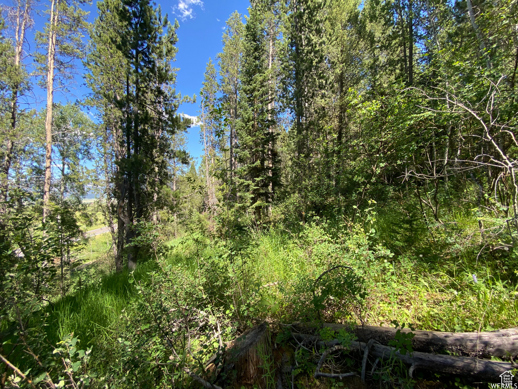 GROUSE CREEK RANCH - Land