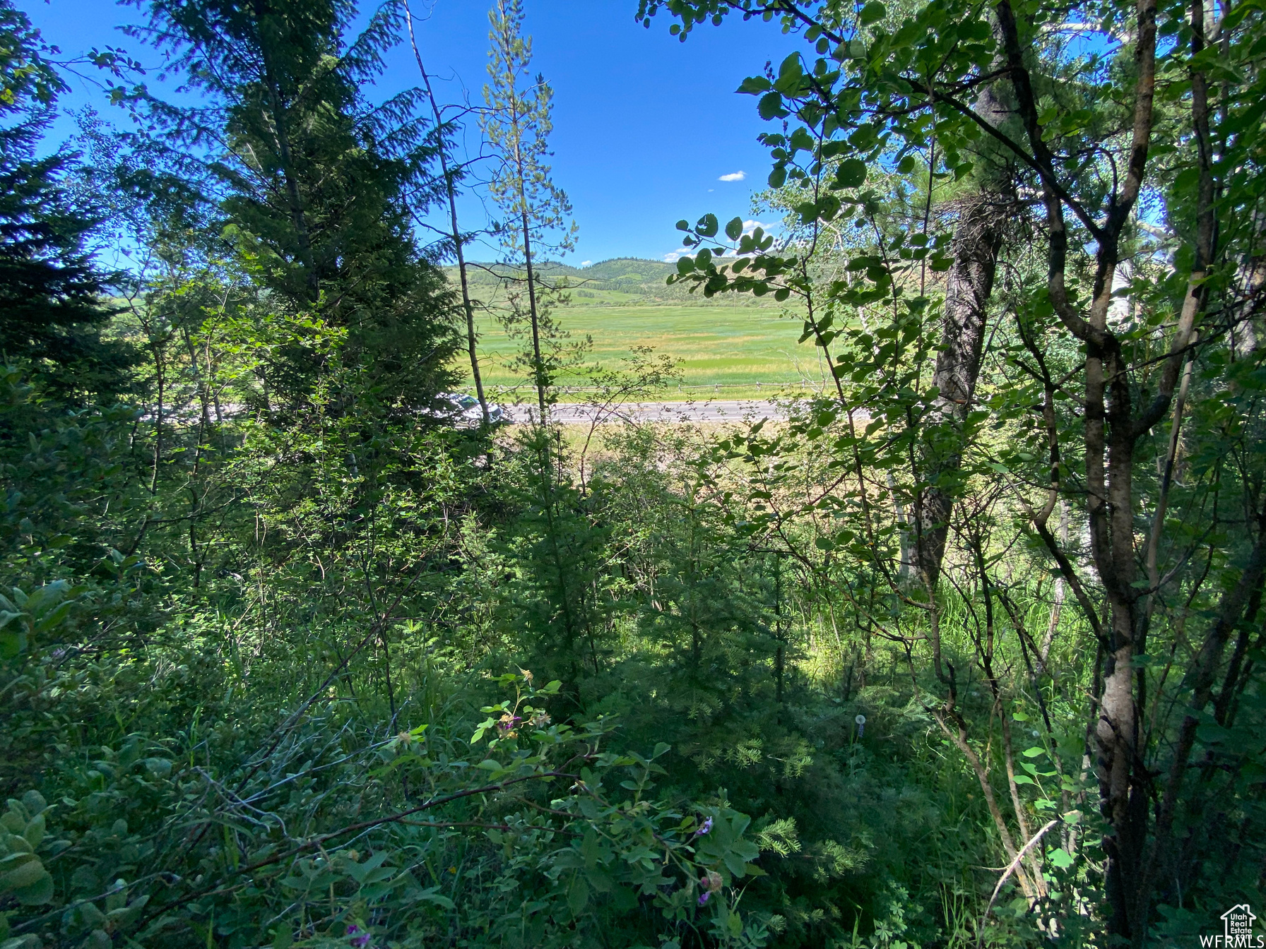 GROUSE CREEK RANCH - Land