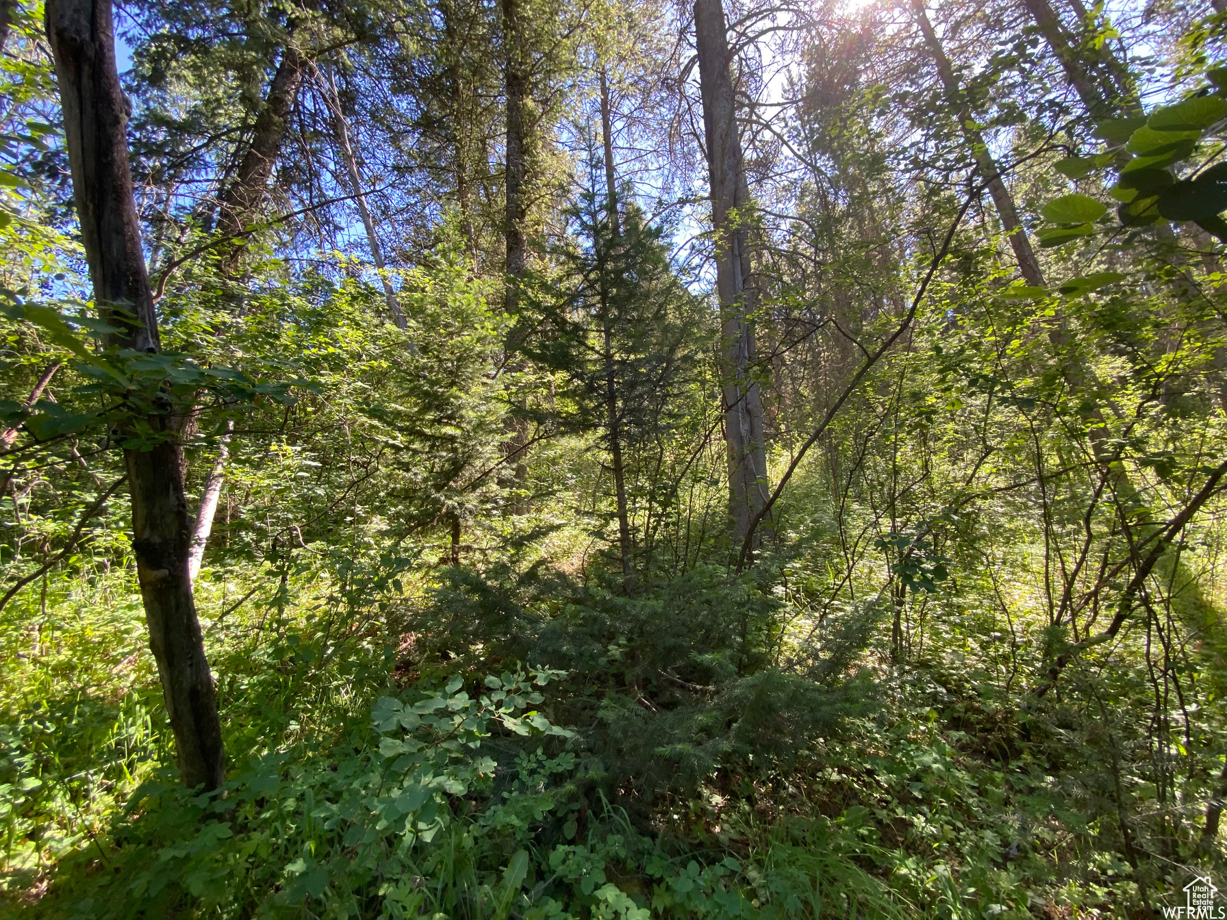 GROUSE CREEK RANCH - Land