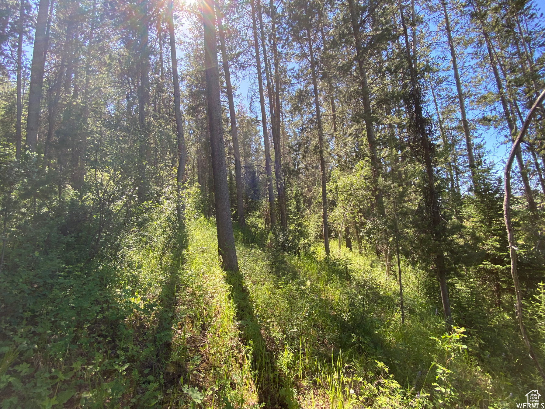 GROUSE CREEK RANCH - Land