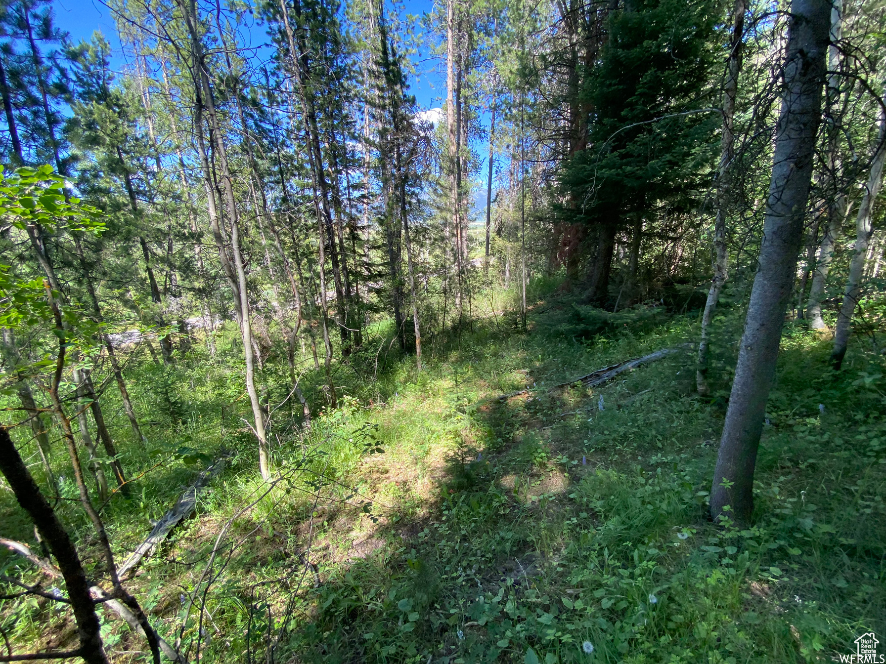 GROUSE CREEK RANCH - Land