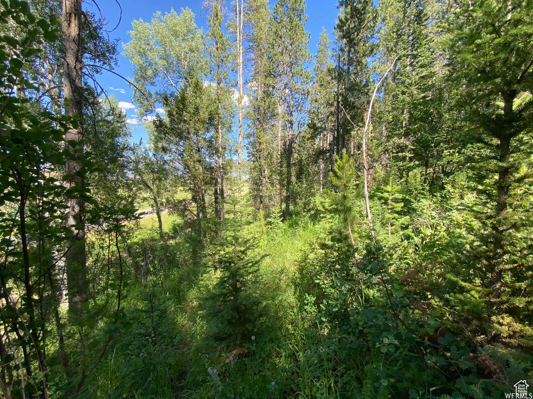 GROUSE CREEK RANCH - Land