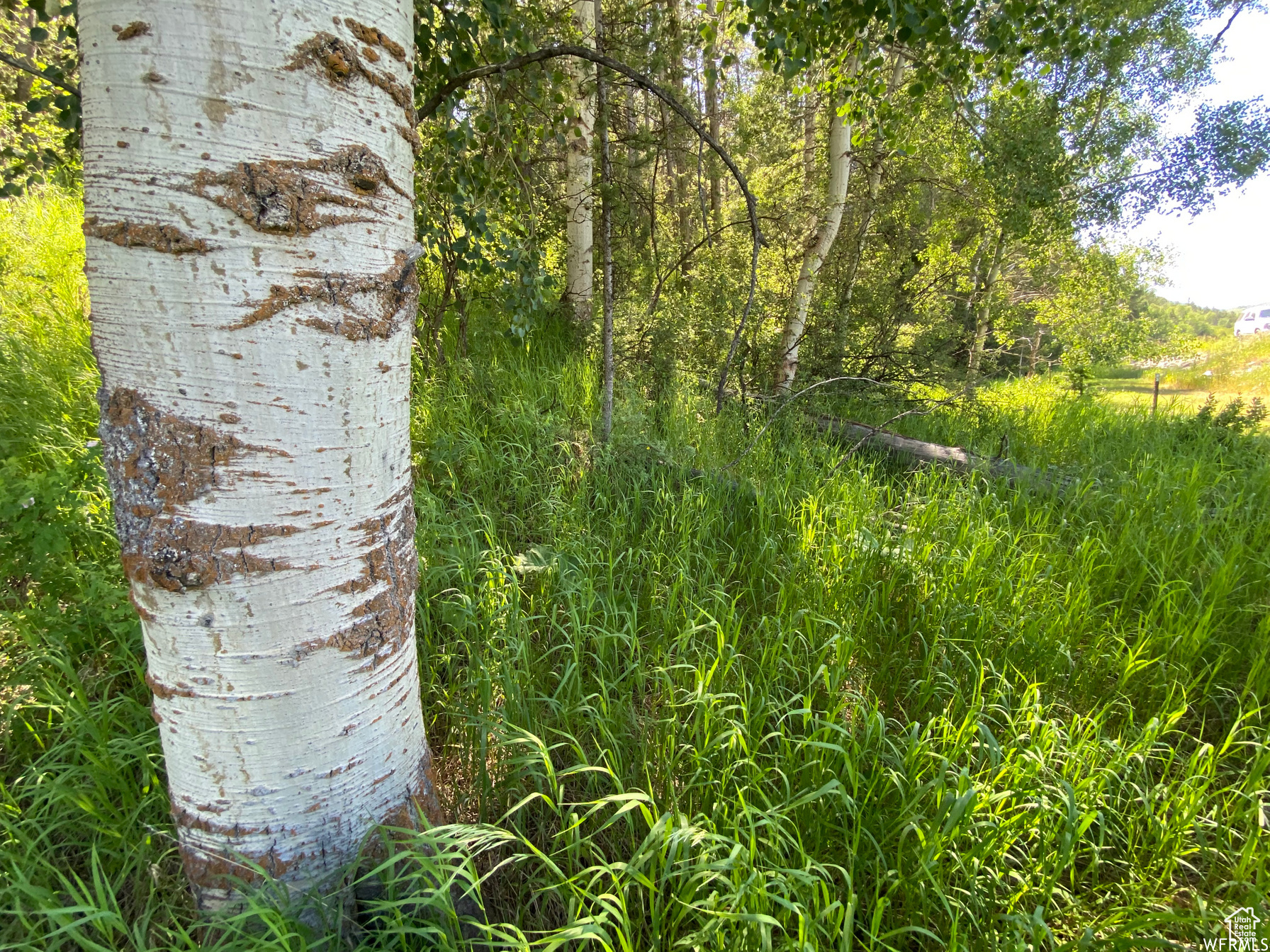 GROUSE CREEK RANCH - Land