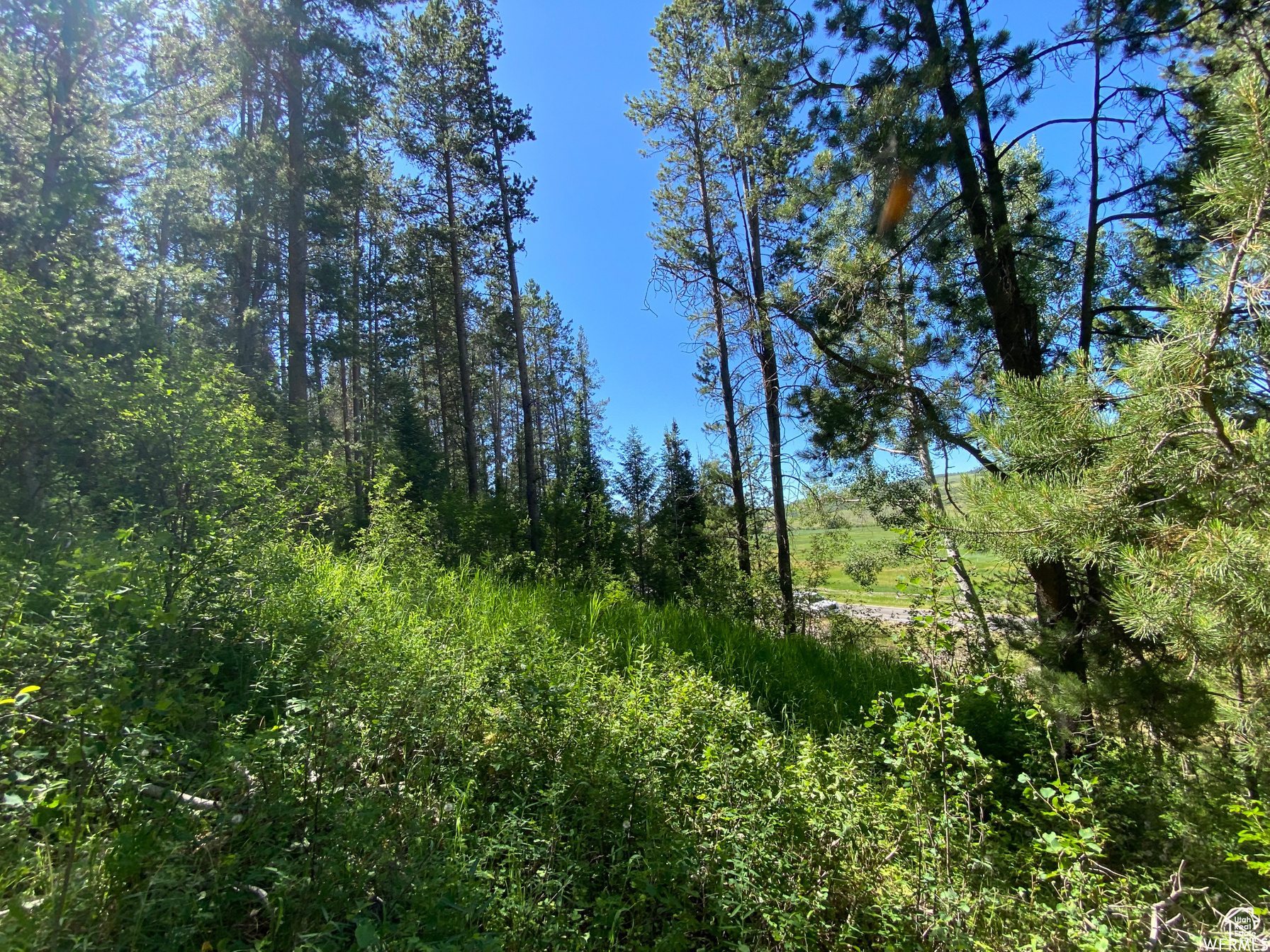 GROUSE CREEK RANCH - Land