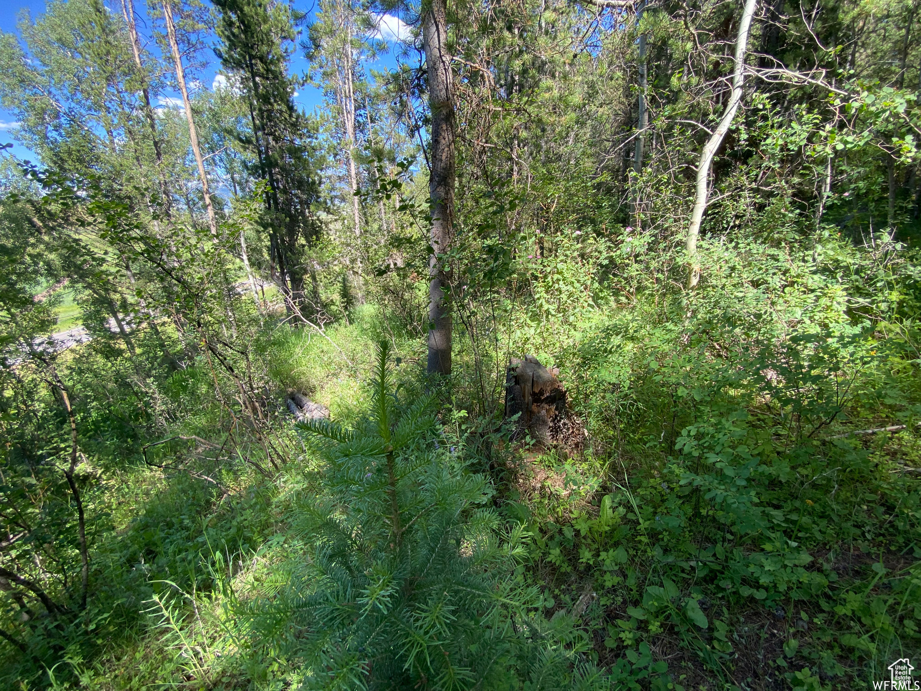 GROUSE CREEK RANCH - Land