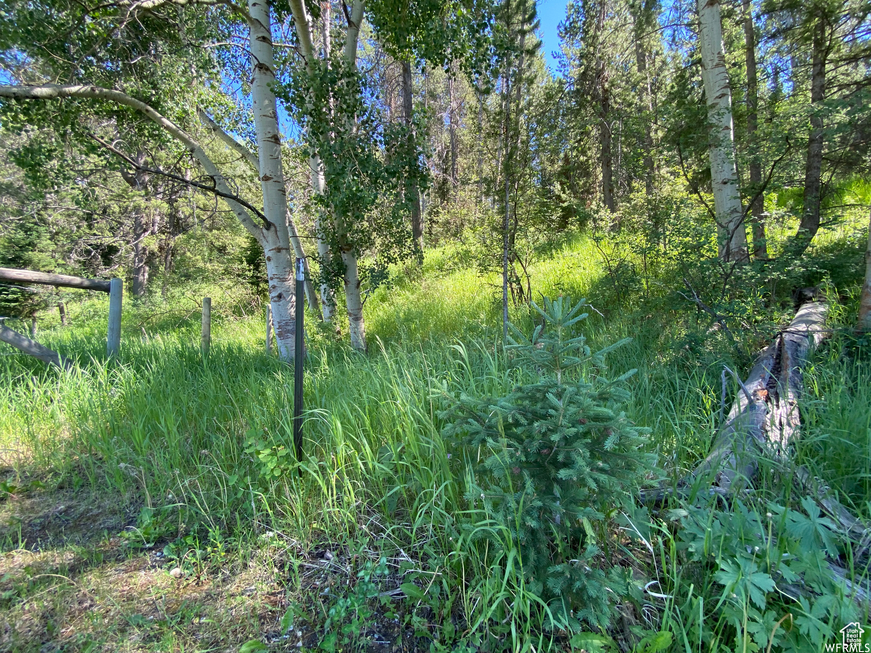 GROUSE CREEK RANCH - Land