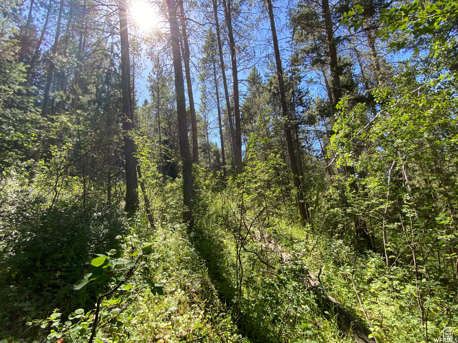 GROUSE CREEK RANCH - Land