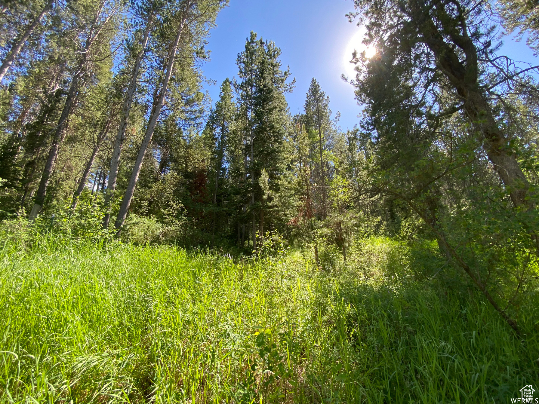 GROUSE CREEK RANCH - Land