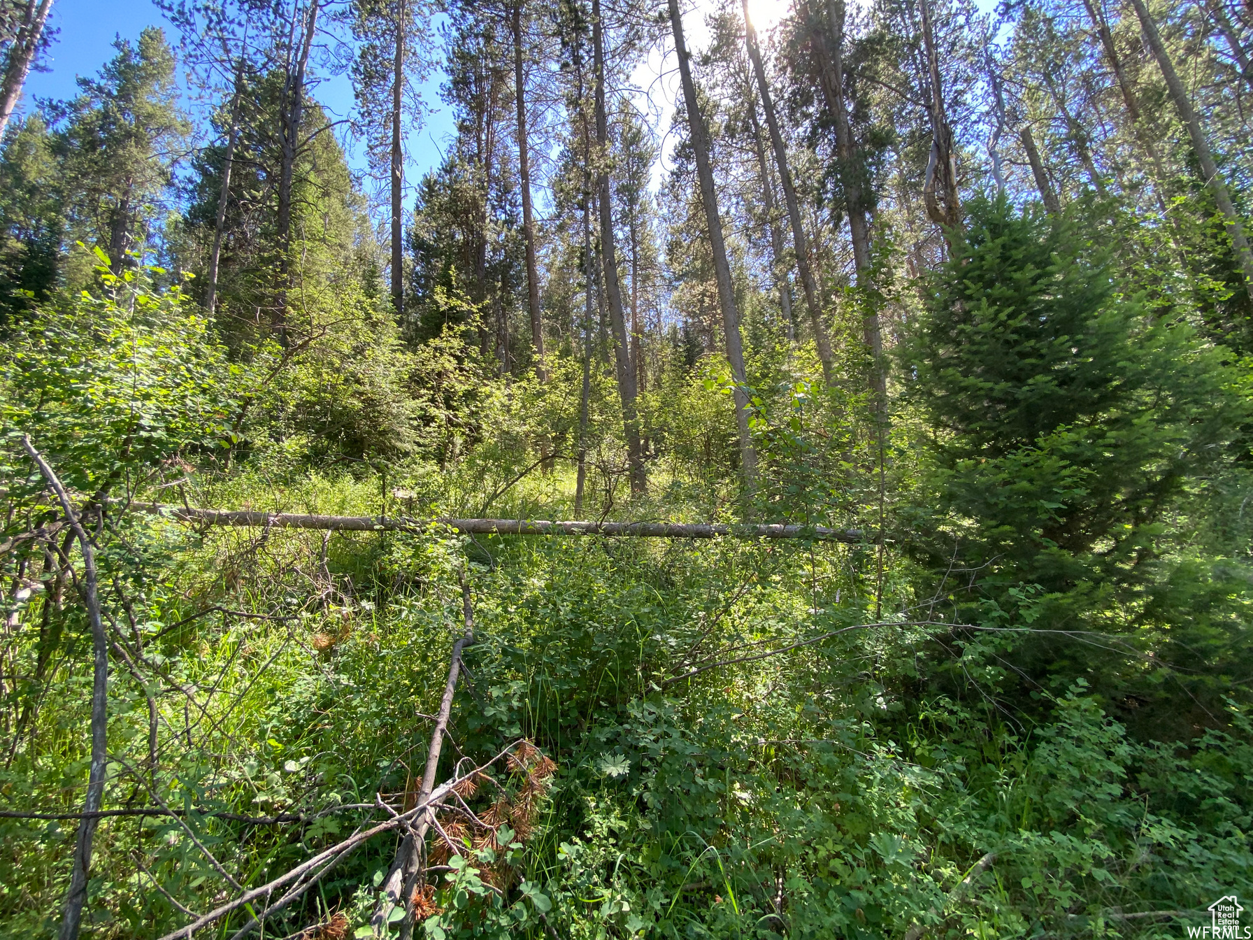 GROUSE CREEK RANCH - Land